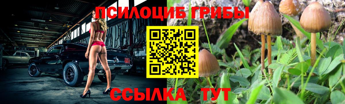 Красный Сулин  Галлюциногенные грибы прущие грибы  Вход с VPN  Галлюциногенные грибы MAGIC MUSHROOMS 